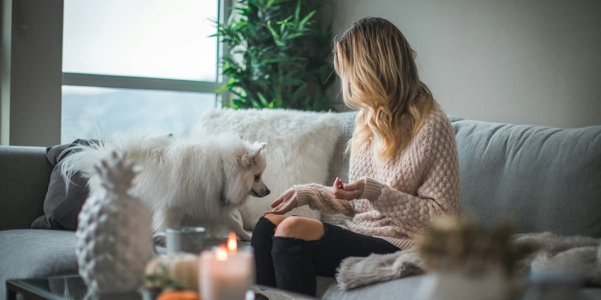 Una joven blanca de cabello rubio, vestida con un suéter rosa y vaqueros negros, está sentada en su sofá cogiendo de la mano a su esponjoso perro blanco en una sala de estar luminosa y tranquila.